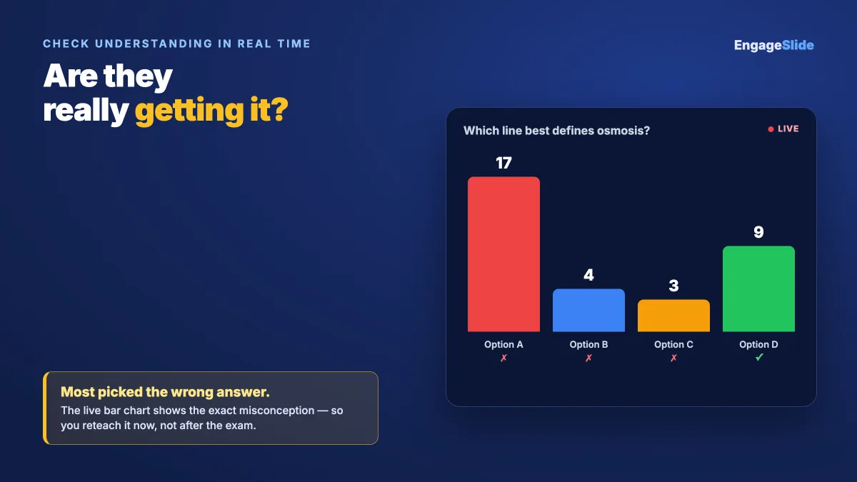 How to Use Quizzes to Check Understanding in Real Time