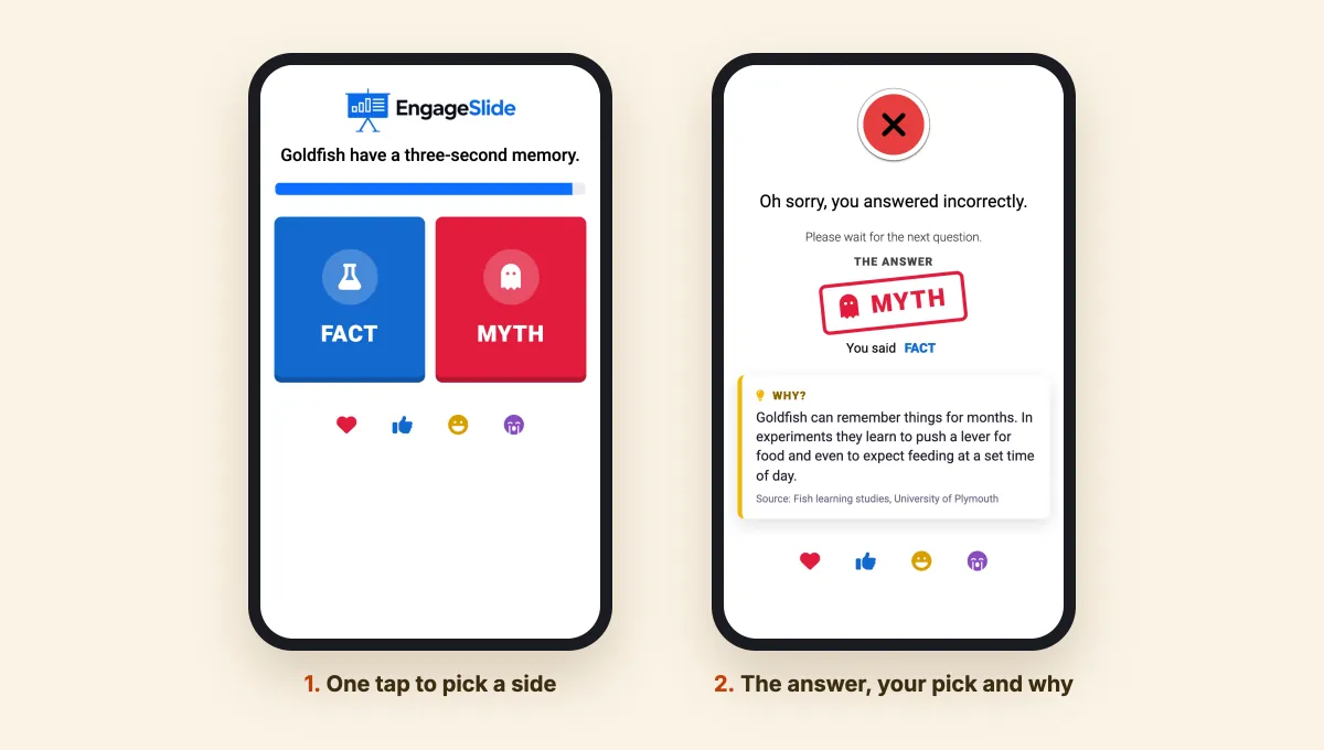 True or false quiz on a phone: Fact and Myth answer buttons, then the result screen with the Myth stamp and the Why explanation